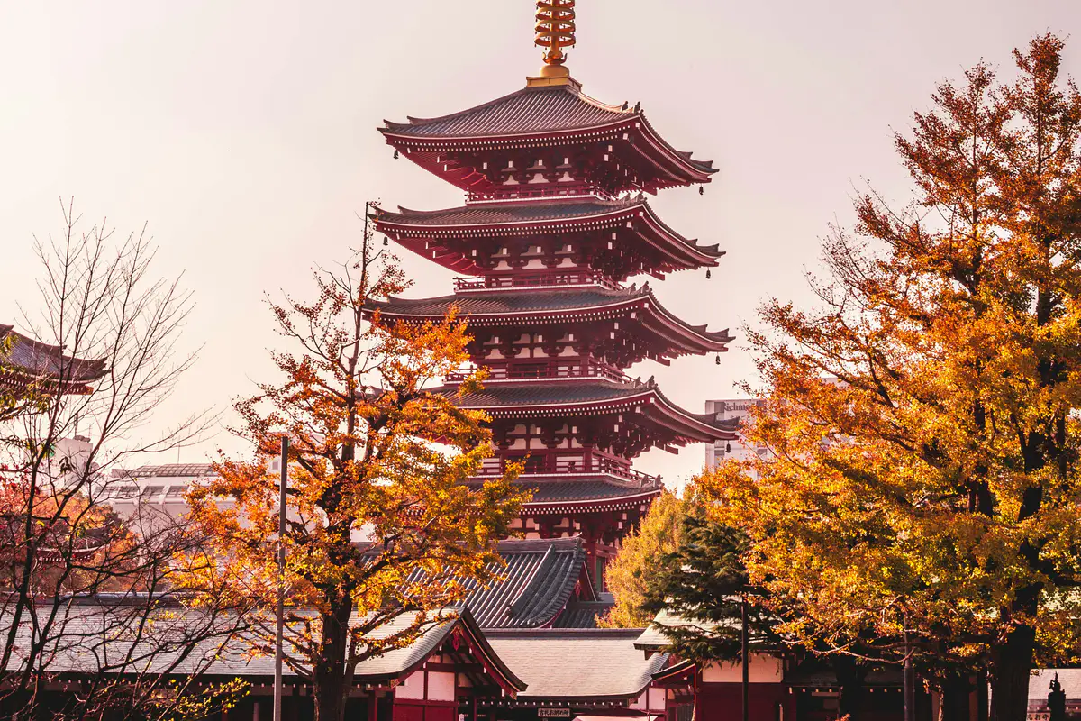 Senso-ji’s five-story pagoda framed by autumn trees in warm late-afternoon light.