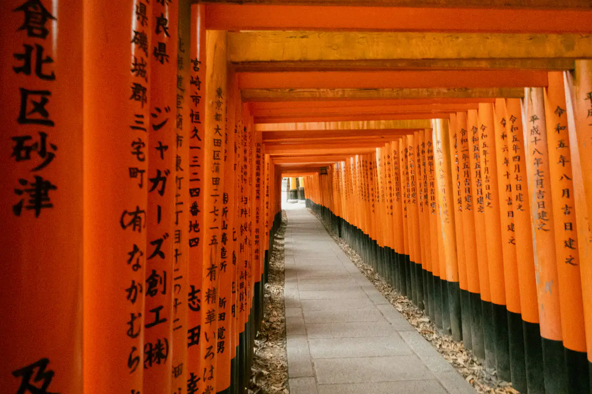 A path of closely spaced vermilion torii gates at Fushimi Inari.