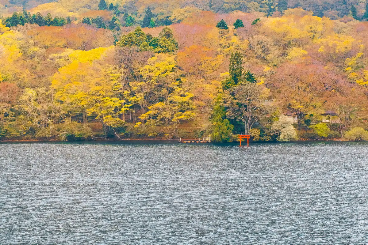 Autumn forest across Lake Ashi beside Hakone’s red torii.