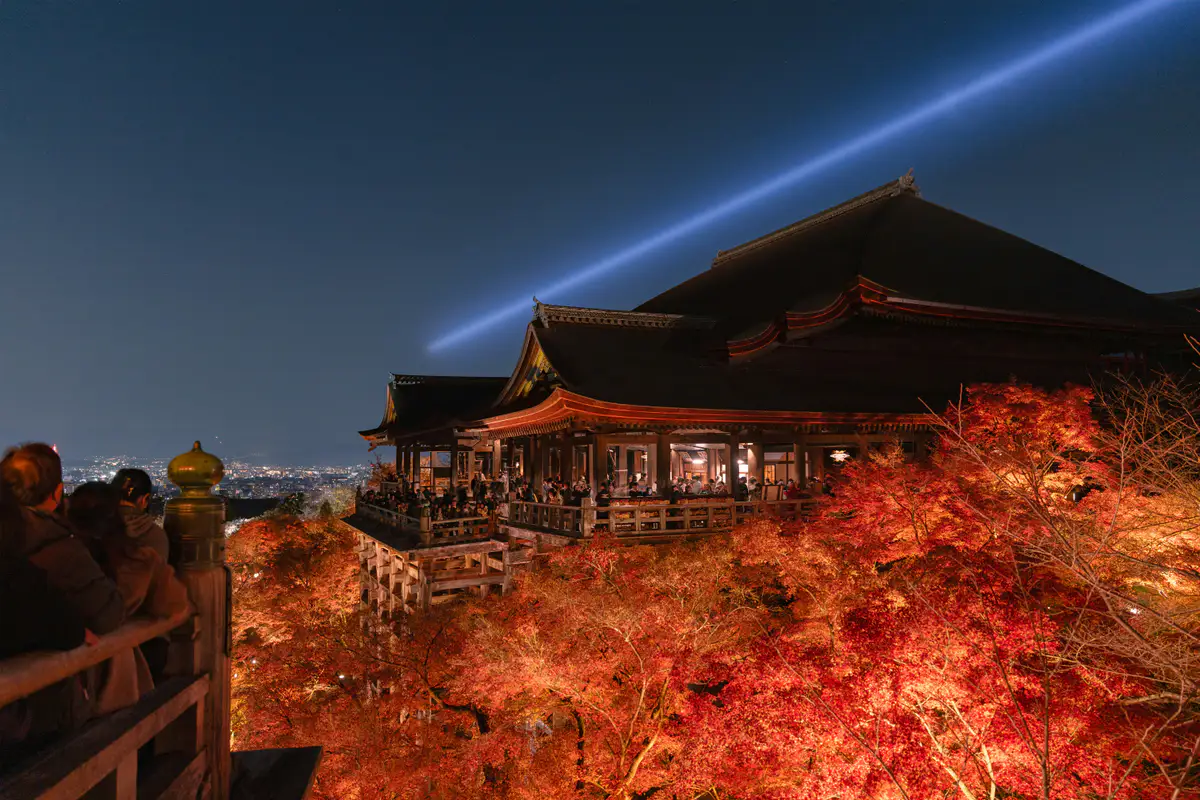 A Kyoto temple illuminated beside red autumn foliage at night.